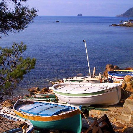 Camping Orly D'Azur Hotel Six-Fours-les-Plages Eksteriør billede