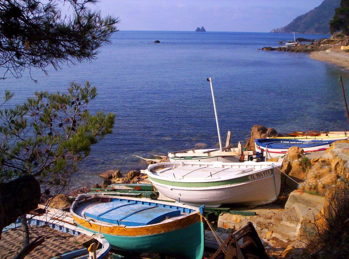 Camping Orly D'Azur Hotel Six-Fours-les-Plages Eksteriør billede